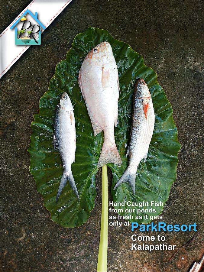 Parkresort - Organic Farm Resort Kala Pathar Beach Exterior photo